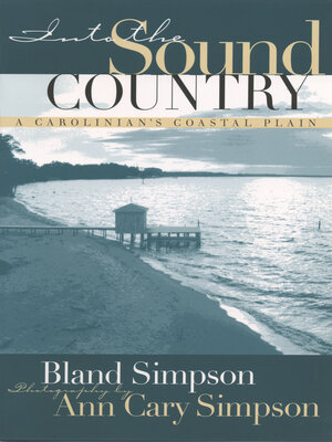 cover image of Into the Sound Country
